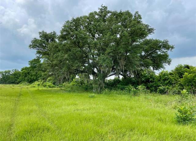 Property at 16876 County Road 809, Brazoria, TX 77422