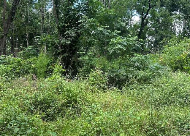 Property at 0 Wade Cir, Conroe, TX 77304