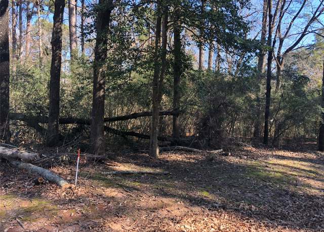 Property at 0 Pike Lot 361 Dr, Hemphill, TX 75948