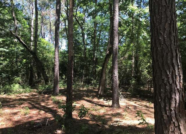 Property at TBD Portico, Livingston, TX 77351