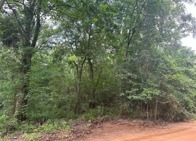 Property at 0 Foxfire Dr, Plantersville, TX 77363