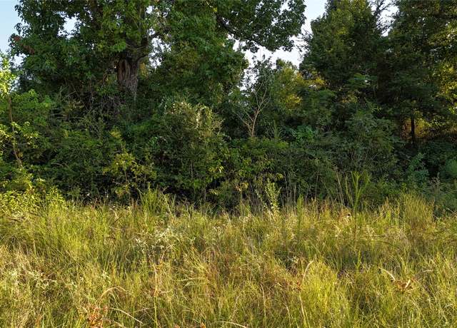Property at TBD Long Dr, Onalaska, TX 77360
