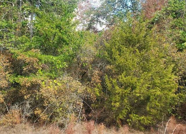 Property at Lot 21 Broken Arrow Cir, Hempstead, TX 77445