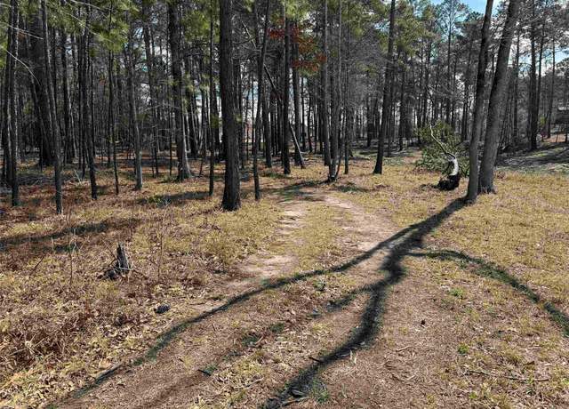 Property at 013 Private Road 6028, Brookeland, TX 75931