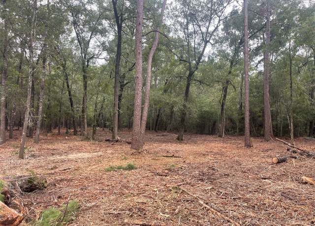 Property at Tract B Mangum Rd, Livingston, TX 77351