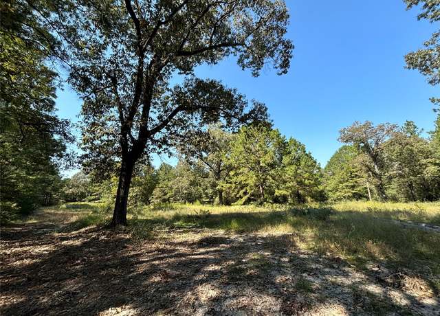Property at TBD County Road 3266, Colmesneil, TX 75938