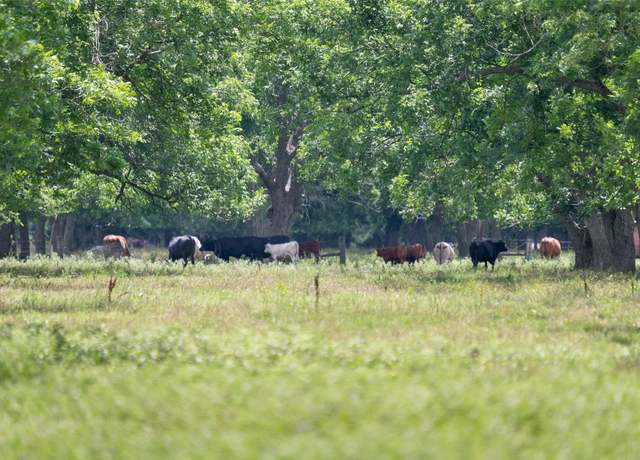 Property at 2640 County Road 107, Boling, TX 77420, 3 beds, 2 baths