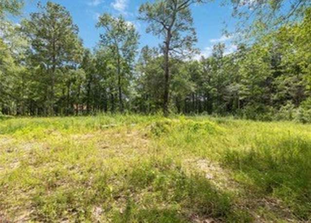 Property at 18516 N Rayburn Dr Dr, Conroe, TX 77302