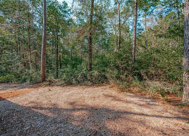 Property at 0 Oak Ridge Dr, Cleveland, TX 77328