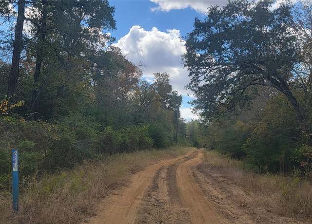 Property at 22.37AC. Pr 1100 Rd, Leona, TX 75850
