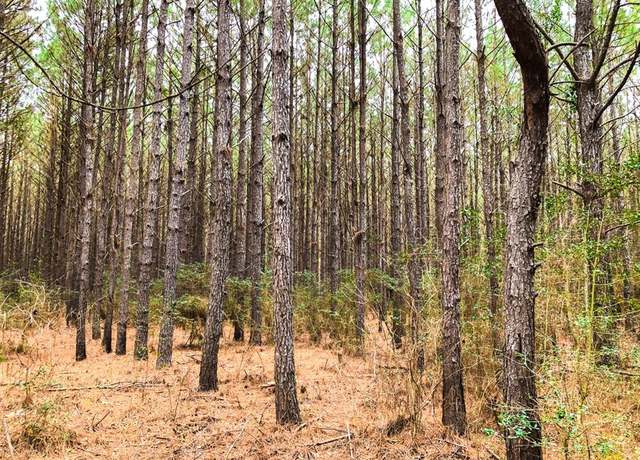 Property at 12 CR 4415, Spurger, TX 77660