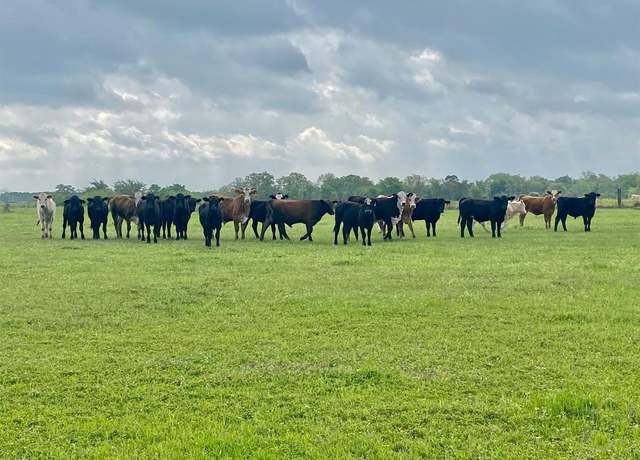 Property at 0000 CR 3095, Crockett, TX 75835