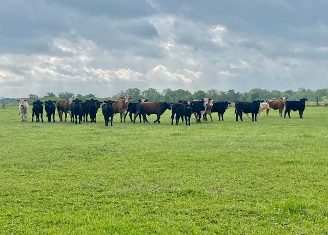 Property at 0000 Cr 3095, Crockett, TX 75835