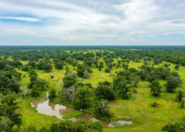 Property at 319 Cr 319, Brazoria, TX 77422