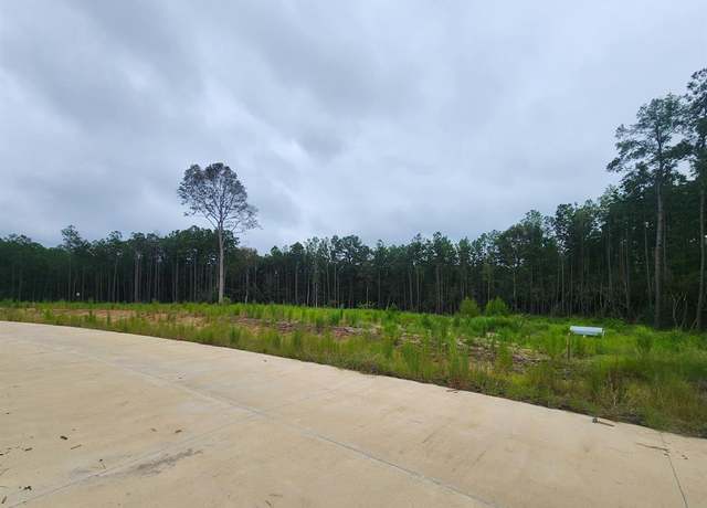 Property at 139 Rayburn Reserve Dr, Jasper, TX 75931