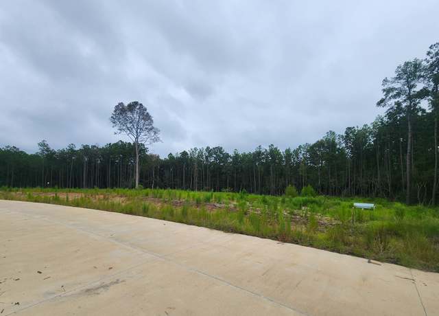 Property at 139 Rayburn Reserve Dr, Jasper, TX 75931