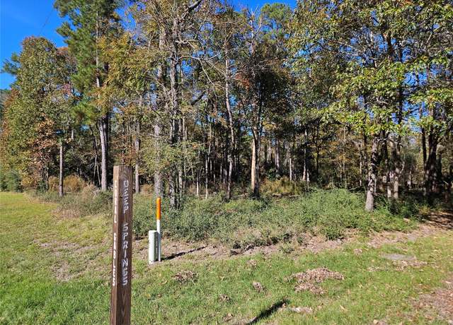 Property at TBD Rolling Springs St, Trinity, TX 75862