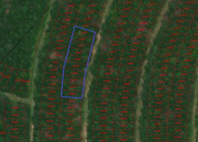 Property at TBD Wood Frst, Livingston, TX 77351