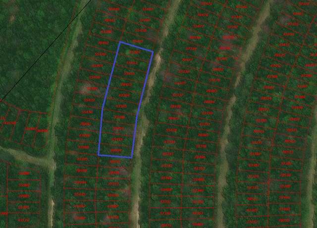 Property at TBD Wood Frst, Livingston, TX 77351