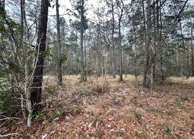 Property at 9115 Grizzly Dr, Kountze, TX 77625