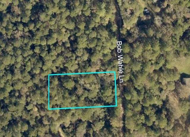 Property at 0 Bob Wahle Ln, Coldspring, TX 77331