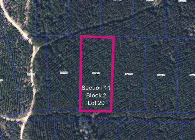 Property at 15931 Forest Grove Dr, Willis, TX 77378