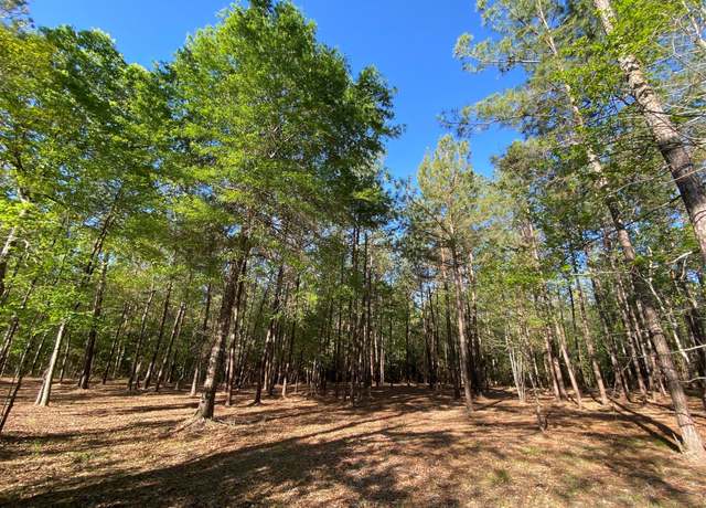 Property at 309 Exploration Rd, Willis, TX 77378