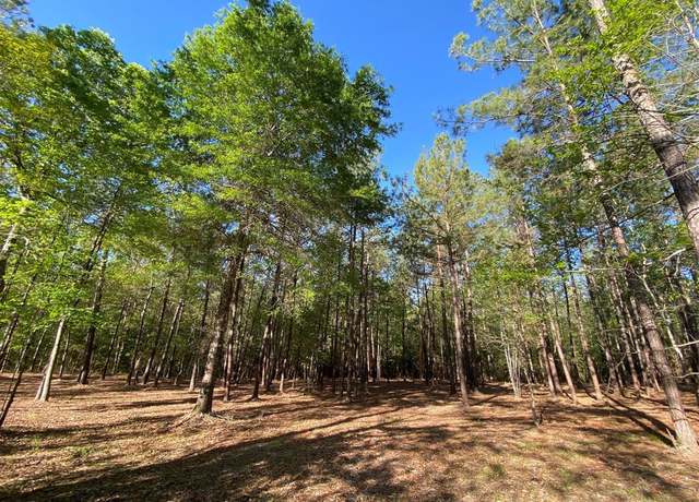 Property at 309 Exploration Rd, Willis, TX 77378