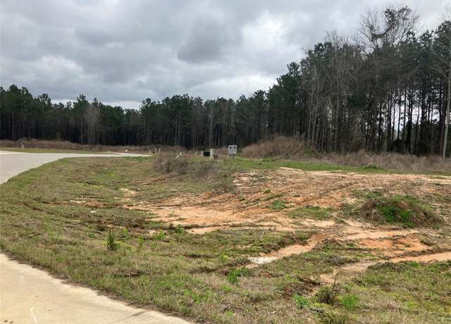 Property at 0 Corner Of Road 5895 And Road 5900, Cleveland, TX 77327
