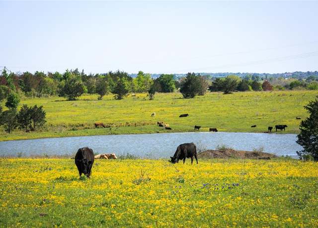 Property at 187 Acres Chadwick Hogan Rd, Chappell Hill, TX 77426