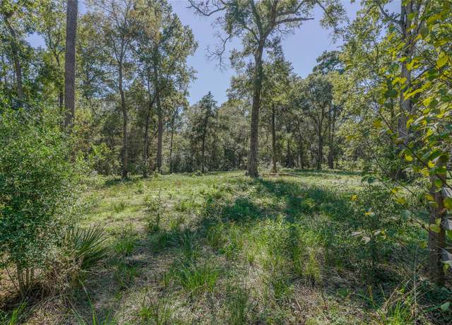Property at 00 Mustang Drive Dr, Splendora, TX 77372
