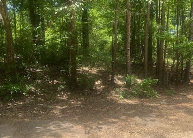 Property at Lot 437 & 438 Hidden Cir, Coldspring, TX 77331