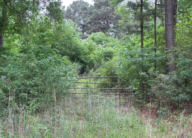 Property at 0 Bailey Grove Rd, Montgomery, TX 77356