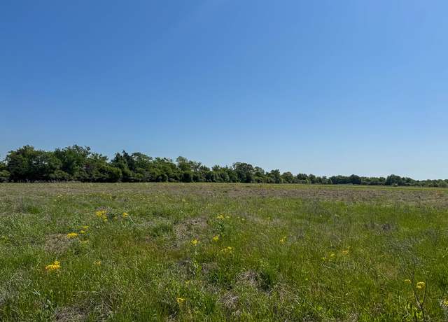 Property at Tract # 2 County Road 123, Iola, TX 77861