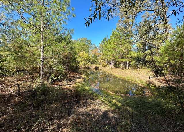 Property at 1529 Pinecrest Rd, Trinity, TX 75862
