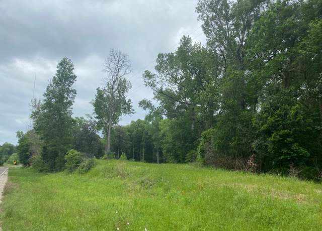 Property at TBD 00 Fm 222 Loop S, Coldspring, TX 77331