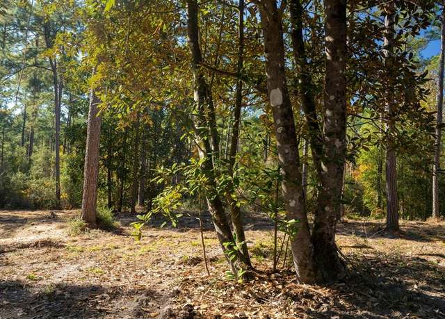 Property at 445 County Road 3190, Colmesneil, TX 75938