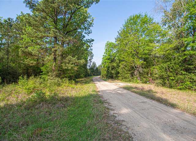 Property at TBD Molt Ln, Point Blank, TX 77364
