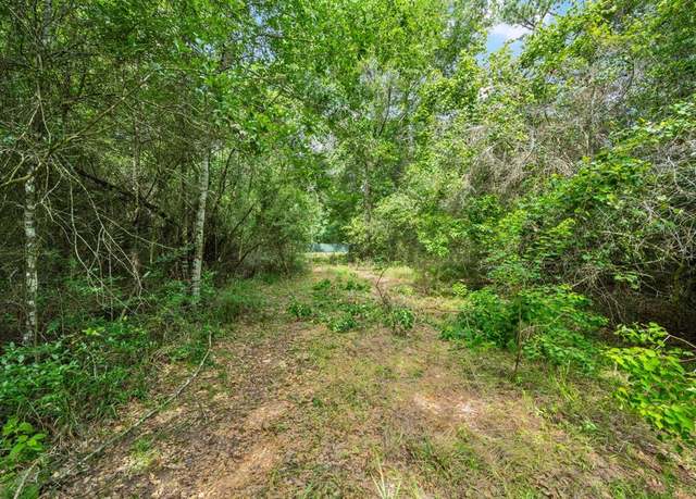 Property at 26100 Spanish Oak Dr, Waller, TX 77484