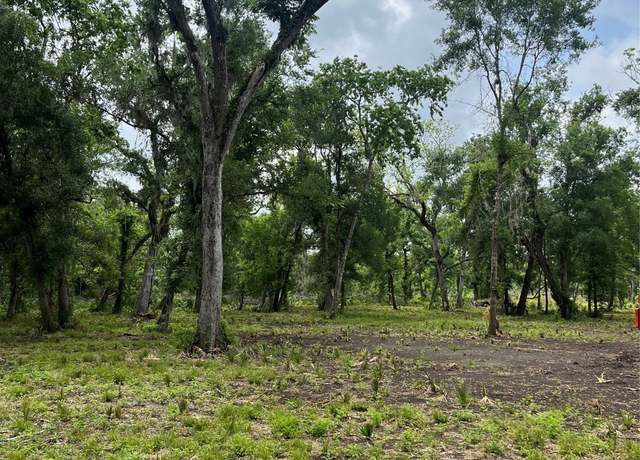 Property at 4227 County Road 347 Rd, Brazoria, TX 77422
