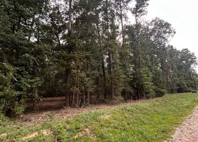 Property at 0 Wonderland Dr, Shepherd, TX 77371