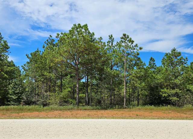 Property at 16029 Ridge Oak Rd, Willis, TX 77378