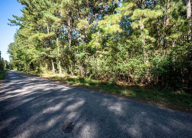 Property at T.B.D. County Rd 3000, Woodville, TX 75979