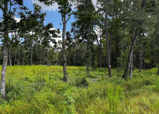 Property at 11855 Magnolia Bend Dr, Conroe, TX 77302