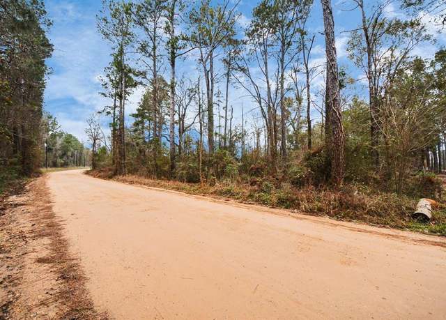 Property at 12+ Acres County Line Rd, Shepherd, TX 77371
