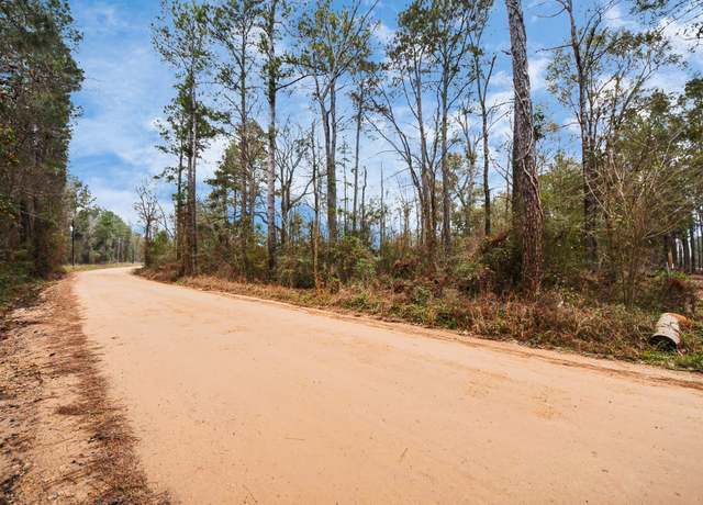 Property at 12+ Acres County Line Rd, Shepherd, TX 77371