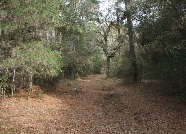 Property at 9000 N County Road 355, Plantersville, TX 77363