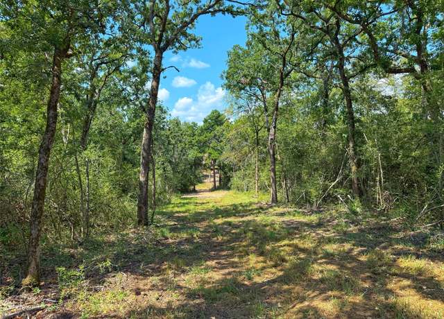 Property at 12 ac Cr 292, Buffalo, TX 75831