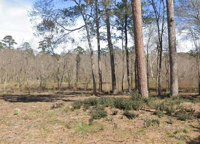 Property at 16210 Old Coach, Stagecoach, TX 77355