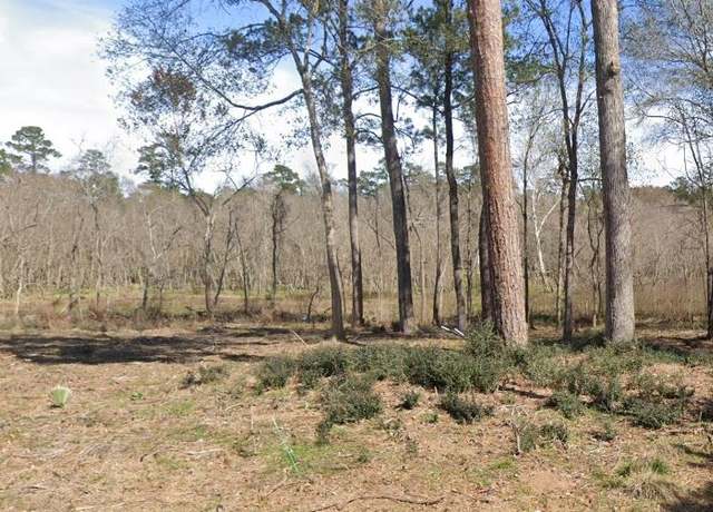 Property at 16210 Old Coach, Stagecoach, TX 77355